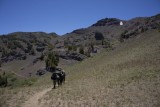 On the Pacific Crest Trail