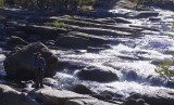 Bill at the cascading Tuolumne river