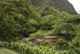 Iao Valley