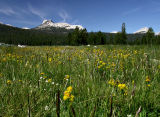 Tuolomne Meadows