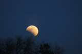 The Eclipsed Moon Rising