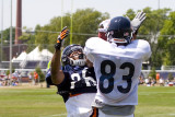 08-05-09 Bears f  067.jpg