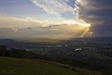 Tamborine Mountain