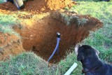 Gus checks out the conduit