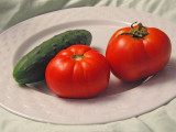 aIMG_0319.jpg