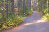 zP1060212 SSE asphalt lane 4 to campsites and cabins.jpg