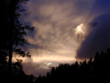 A Forest Fire Sunset