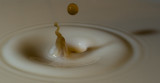Coffee Drop