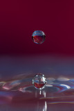 Drop-33.jpg