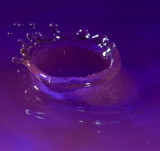 Drop-59.jpg