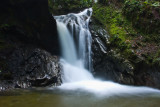 Falls at Pucks Glen