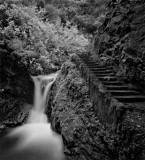 Falls in Infra red