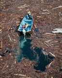 Removing Deer from Hetch Hetchy Reservoir after a Storm