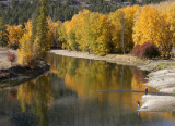 Fall Fishermen