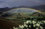 Rainbow Trestle