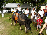 2009 Island Fair