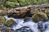 Watson Falls Rocky Stream