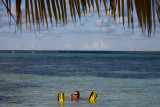 IMG_1396pb.jpg