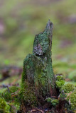 100_9174fp.jpg
