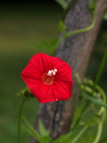 P8020174.jpg
