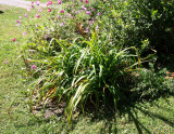 P9252306a.jpg