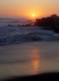 DSC06509.jpg