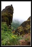 rocky outcropping