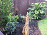 Washingtonia also a gonner. More room for the basjoo and its new neighbour Mr Alocasia maccrohizos