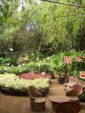 Garden centre - Philippine style