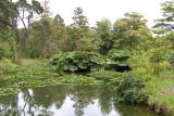 pond.jpg