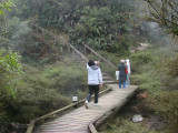 crossing the stream