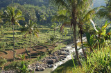 pemandangan Cisewu