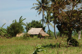 rumah penjaga sawah