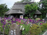 A Nice Resturant in old style house in flower garden