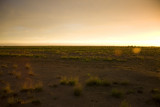 blacksoil plains sunset.jpg