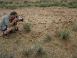 photographing spenceri.jpg