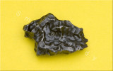 Sikhote Alin Meteorite