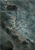 Campo del Cielo meteorite - Close up