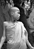 Novice monk ~  Burma Minguin