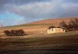 Colonial farmhouse, Tasmanian midlands