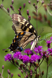 20100814-IMG_0994.jpg