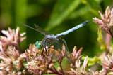 20100814-IMG_1003.jpg