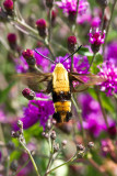 20100814-IMG_1013.jpg