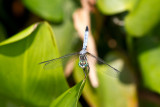20100814-IMG_1026.jpg