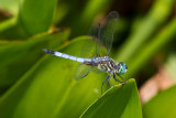 20100814-IMG_1036.jpg