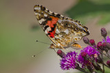 20100814-IMG_1057.jpg