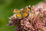 20100814-IMG_1087.jpg
