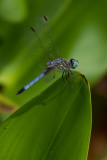 20100814-IMG_1101.jpg