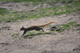 DSC_0314.JPG