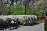 DSC_0321.JPG